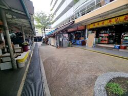 Geylang Bahru Ville (D12), Shop House #546078071